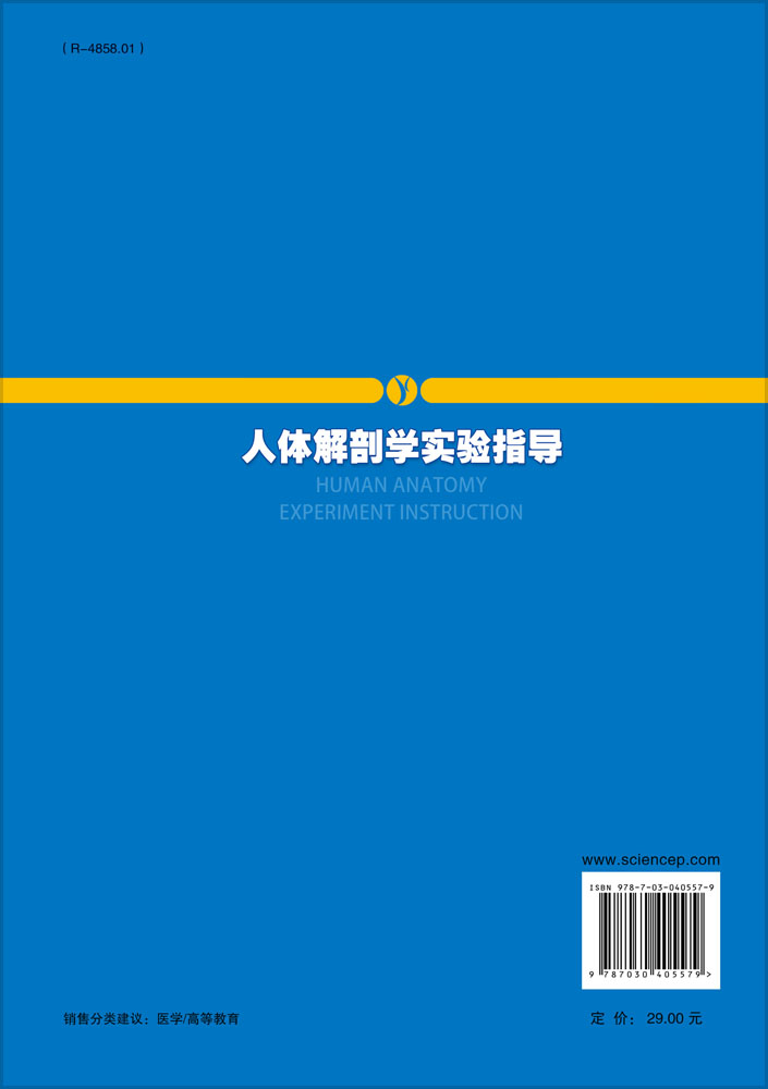 人体解剖学实验指导