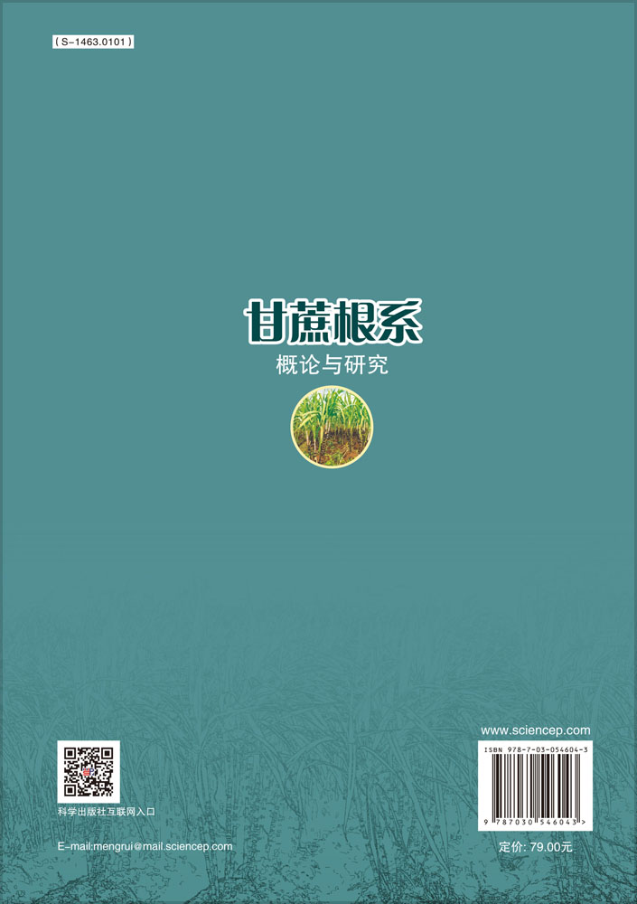 甘蔗根系概论与研究