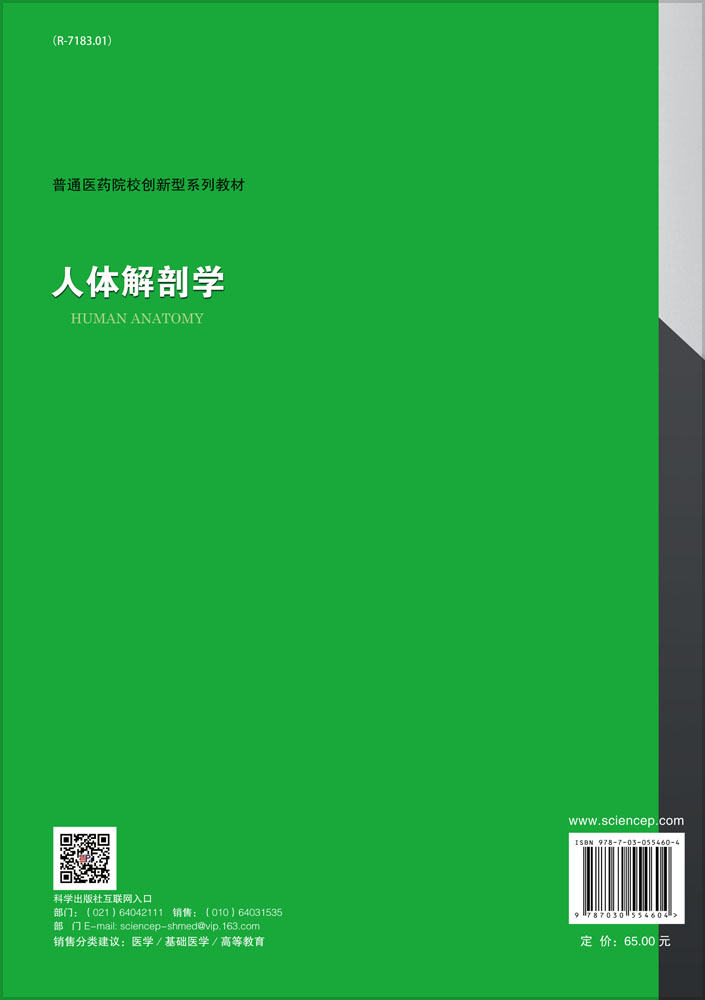 人体解剖学