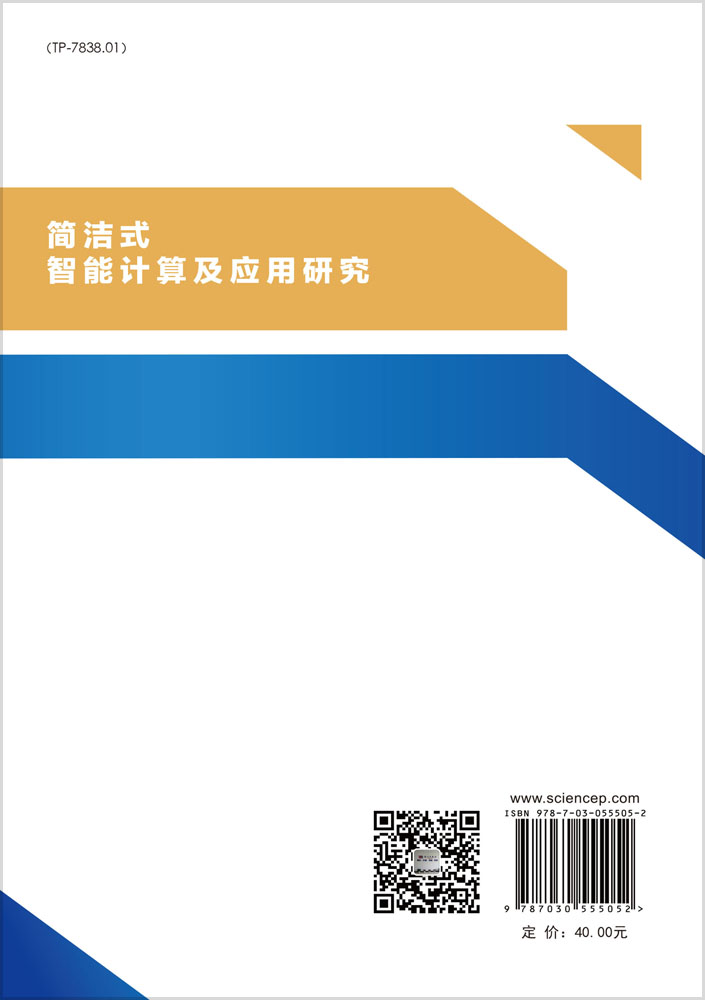 简洁式智能计算及应用研究