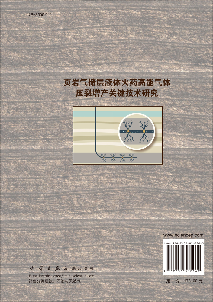 页岩气储层液体火药高能气体压裂增产关键技术研究
