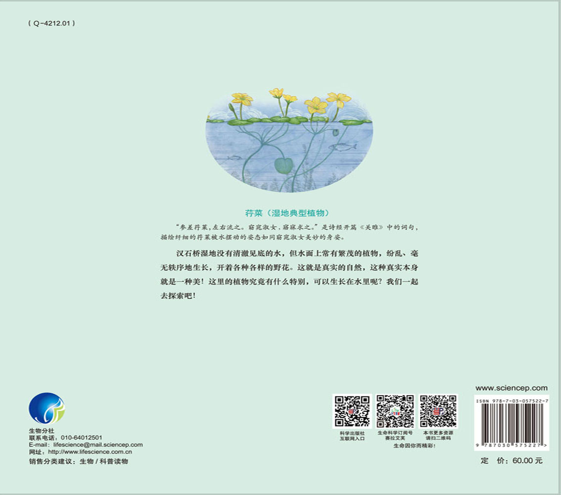 汉石桥湿地植物科学探索