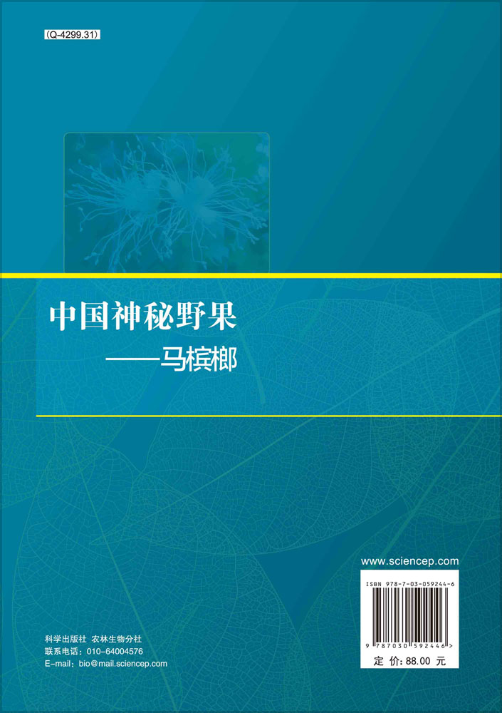 中国神秘野果——马槟榔