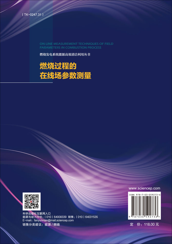 燃烧过程的在线参数测量