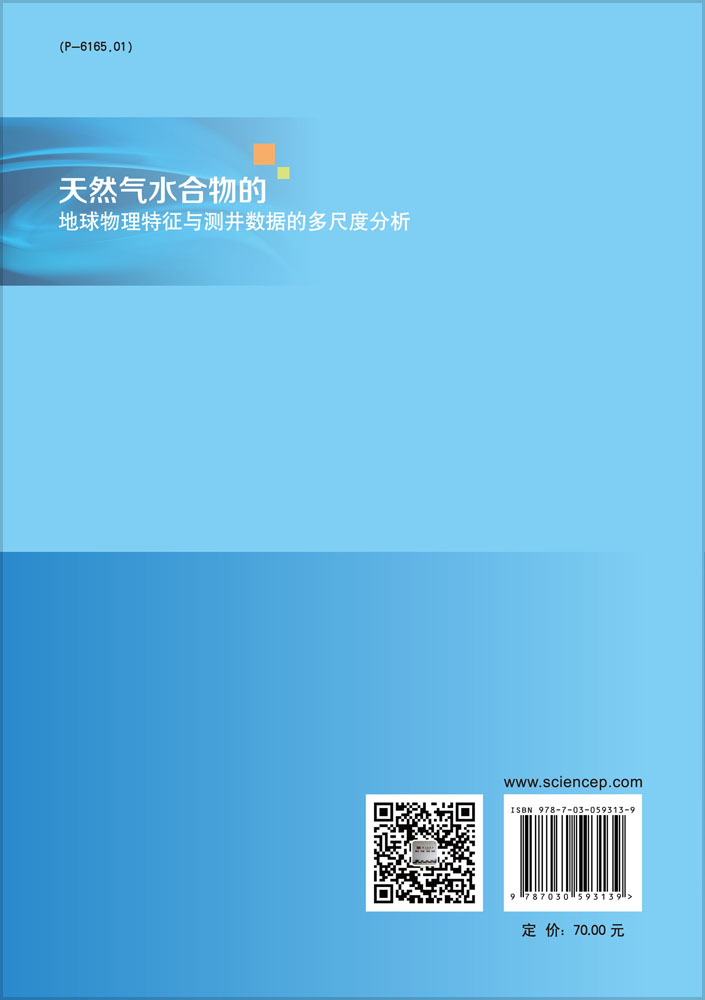 天然气水合物的地球物理特征与测井数据的多尺度分析