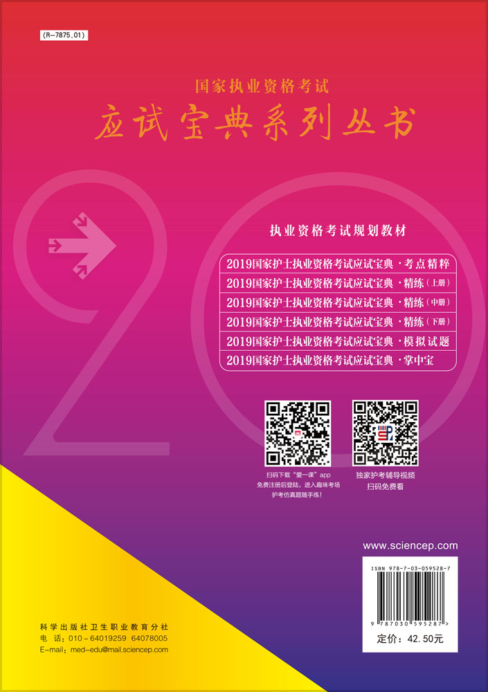 2019国家护士执业资格考试应试宝典·精练（下册）