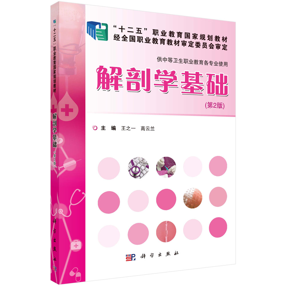 解剖学基础