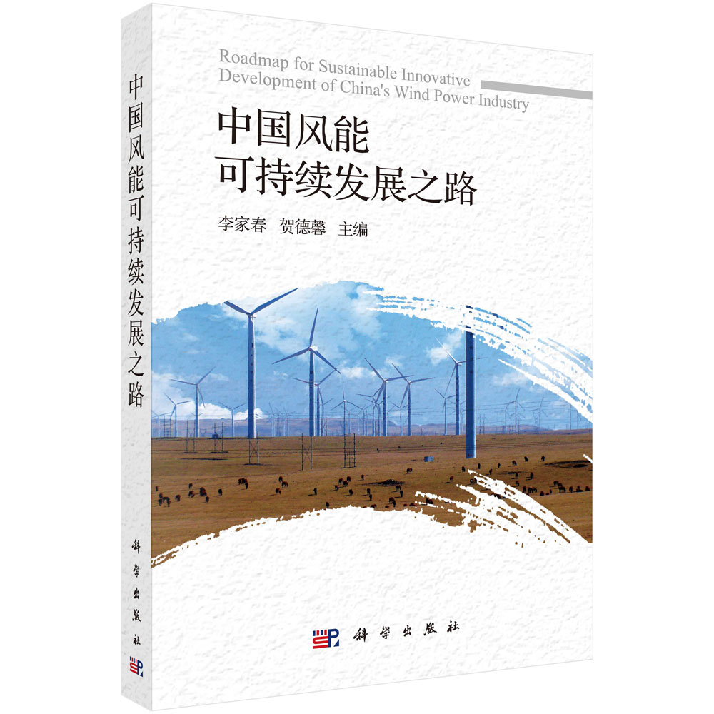中国风能可持续发展之路