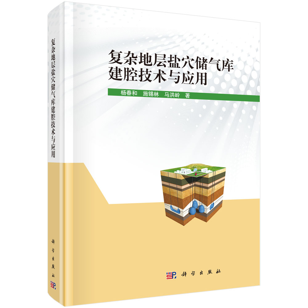 复杂地层盐穴储气库建腔技术与应用