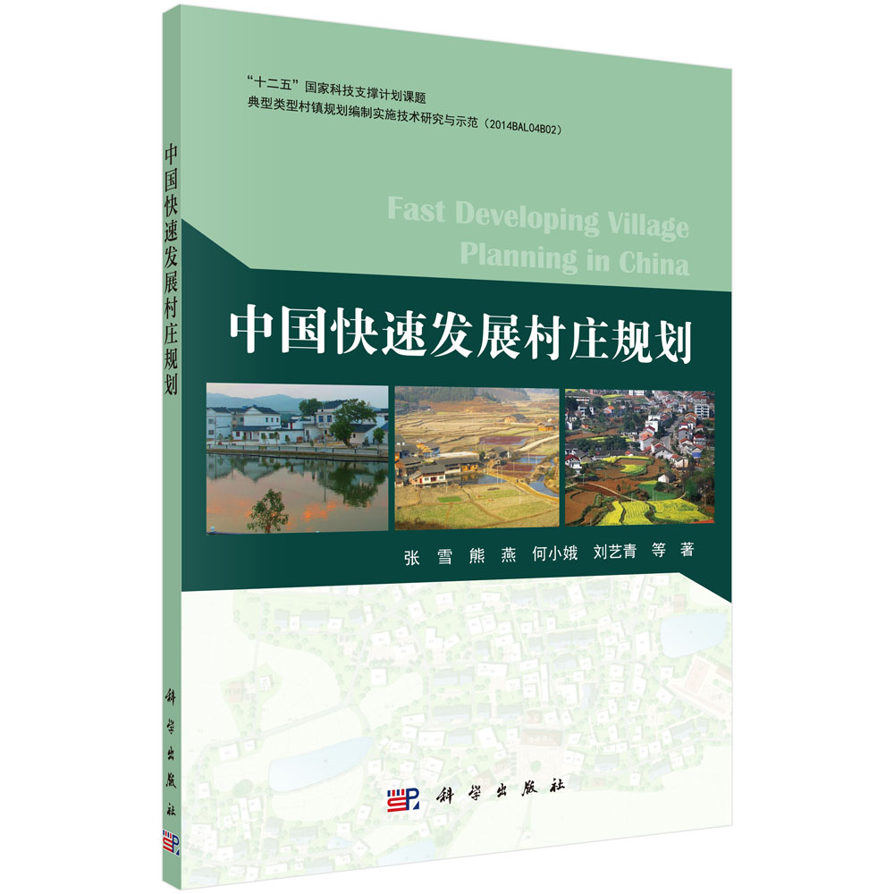 中国快速发展村庄规划