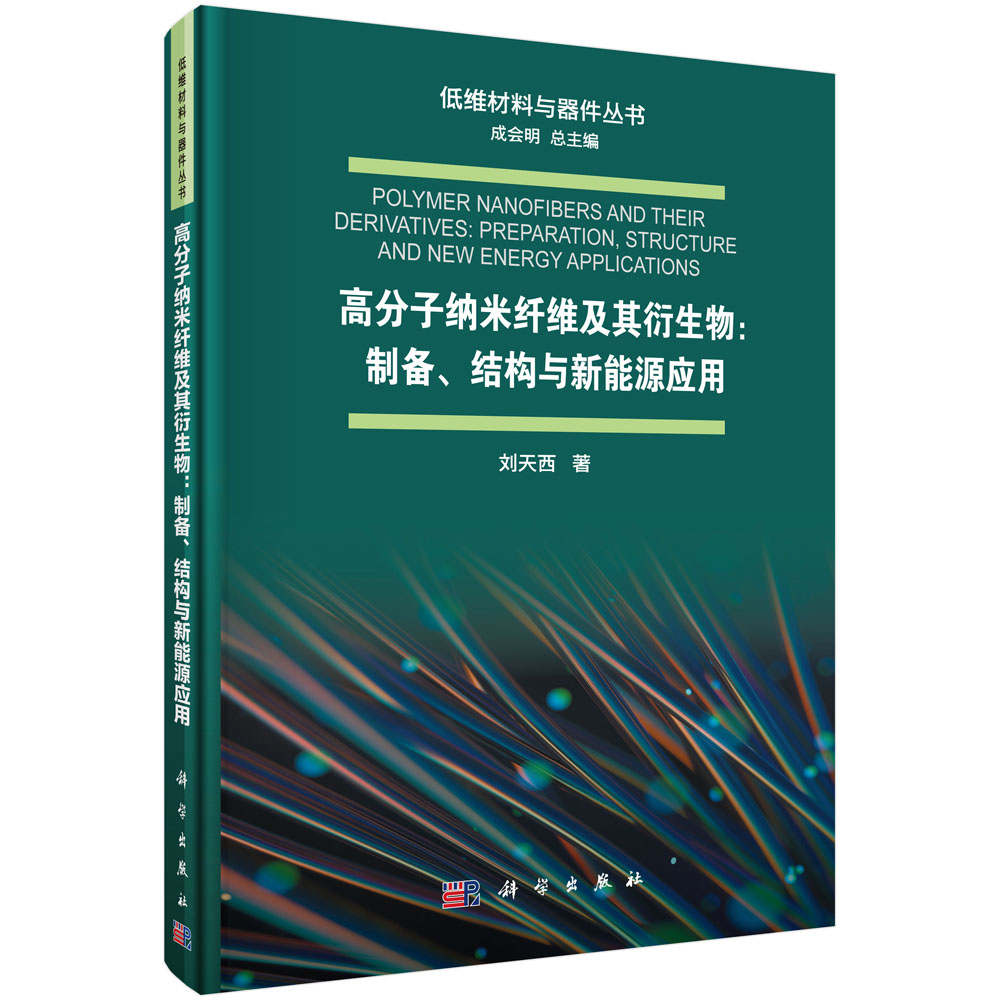 高分子纳米纤维及其衍生物：制备、结构与新能源应用