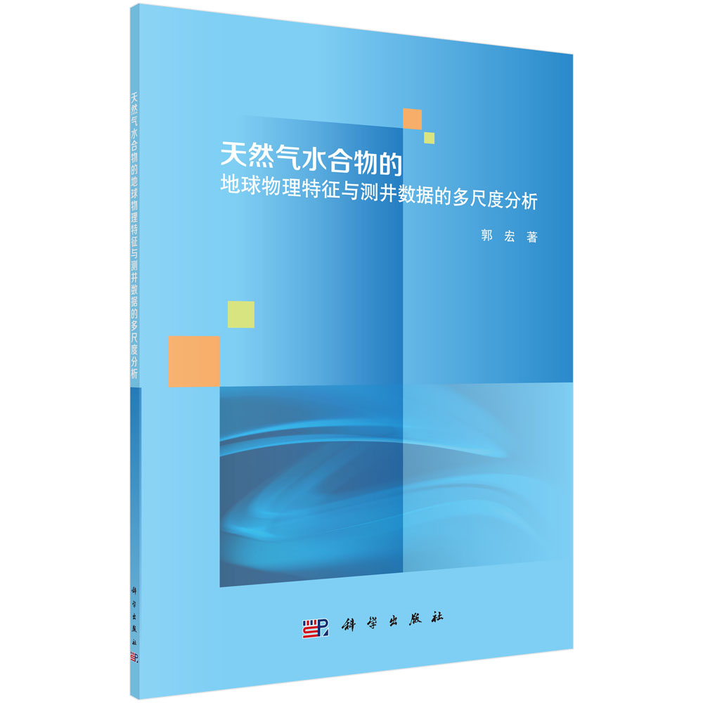 天然气水合物的地球物理特征与测井数据的多尺度分析