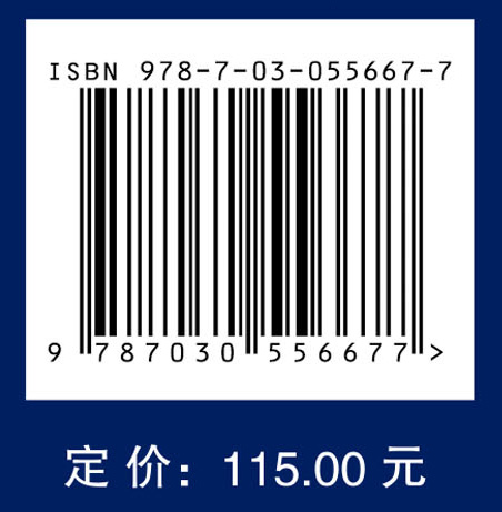 网络空间拟态防御导论（上册）