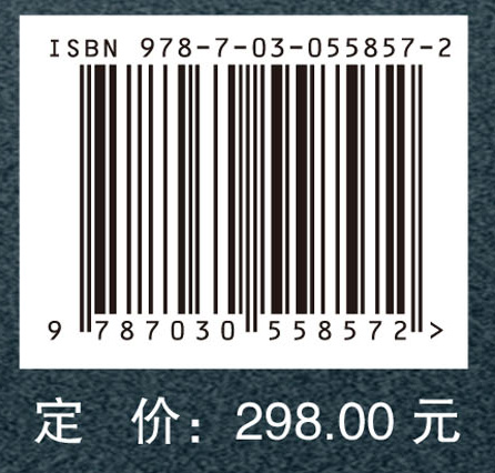 海上人工岛机场规划、设计与建设