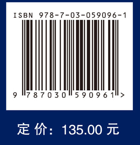 网络空间拟态防御原理——广义鲁棒控制与内生安全（第二版）下册