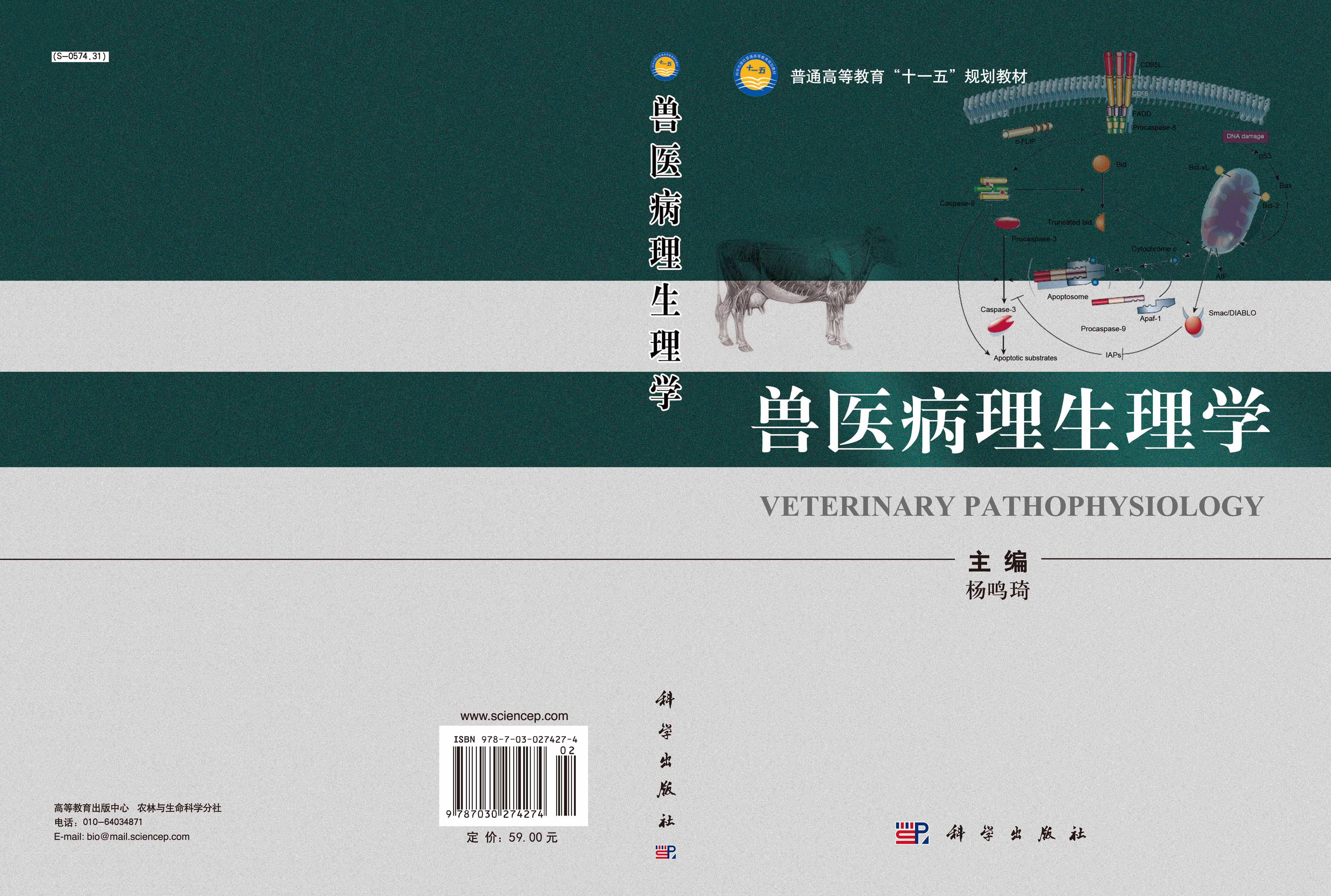 兽医病理生理学