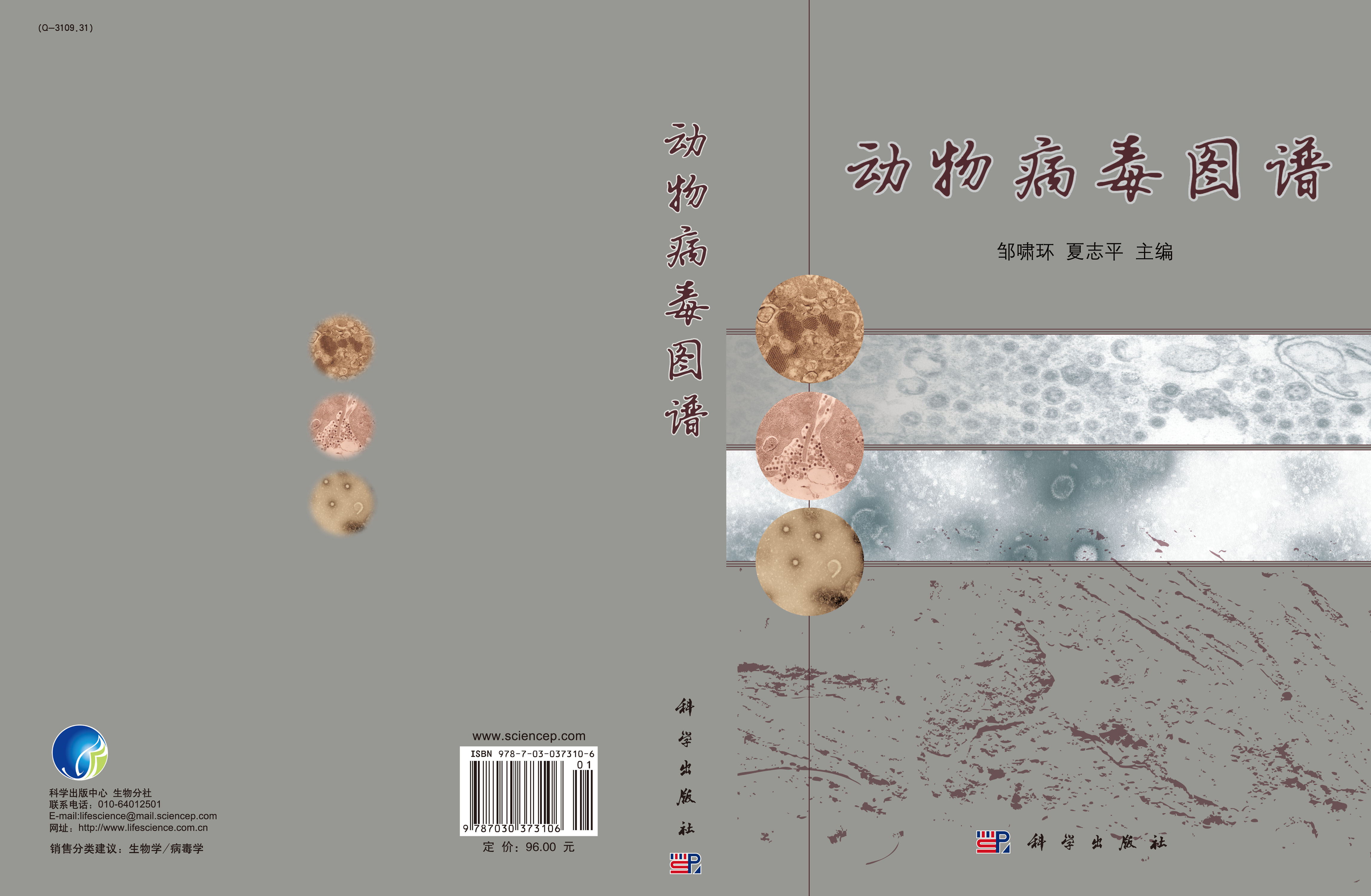 动物病毒图谱