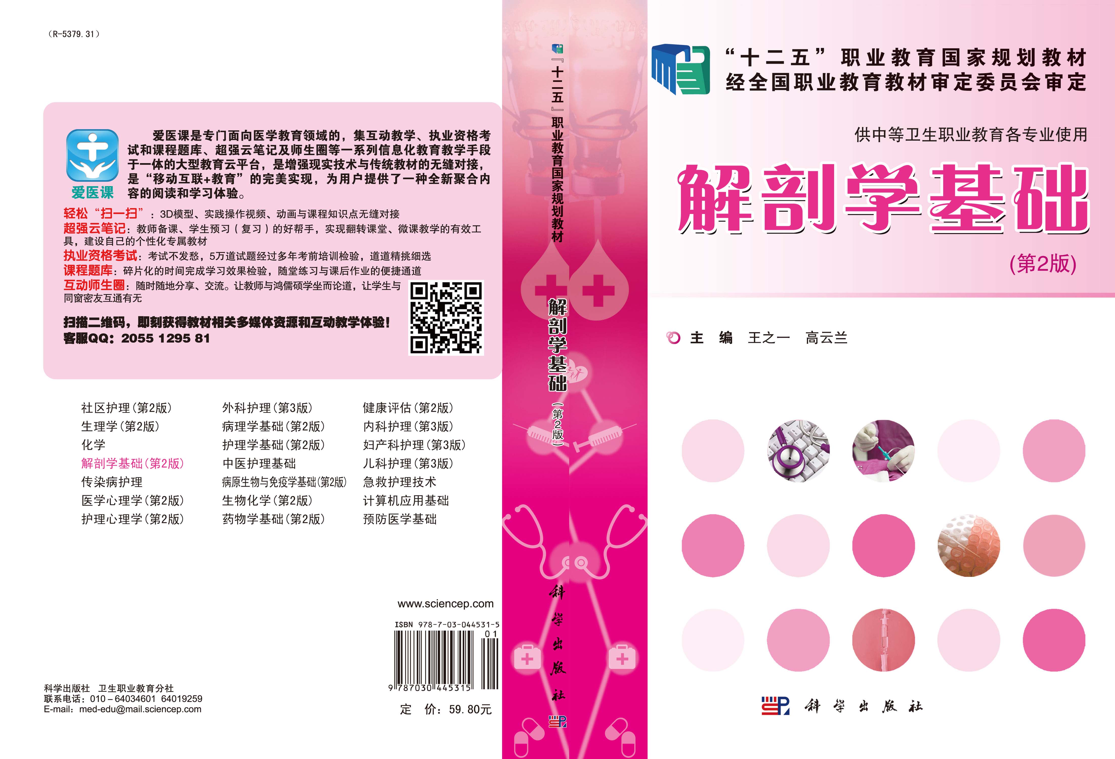 解剖学基础