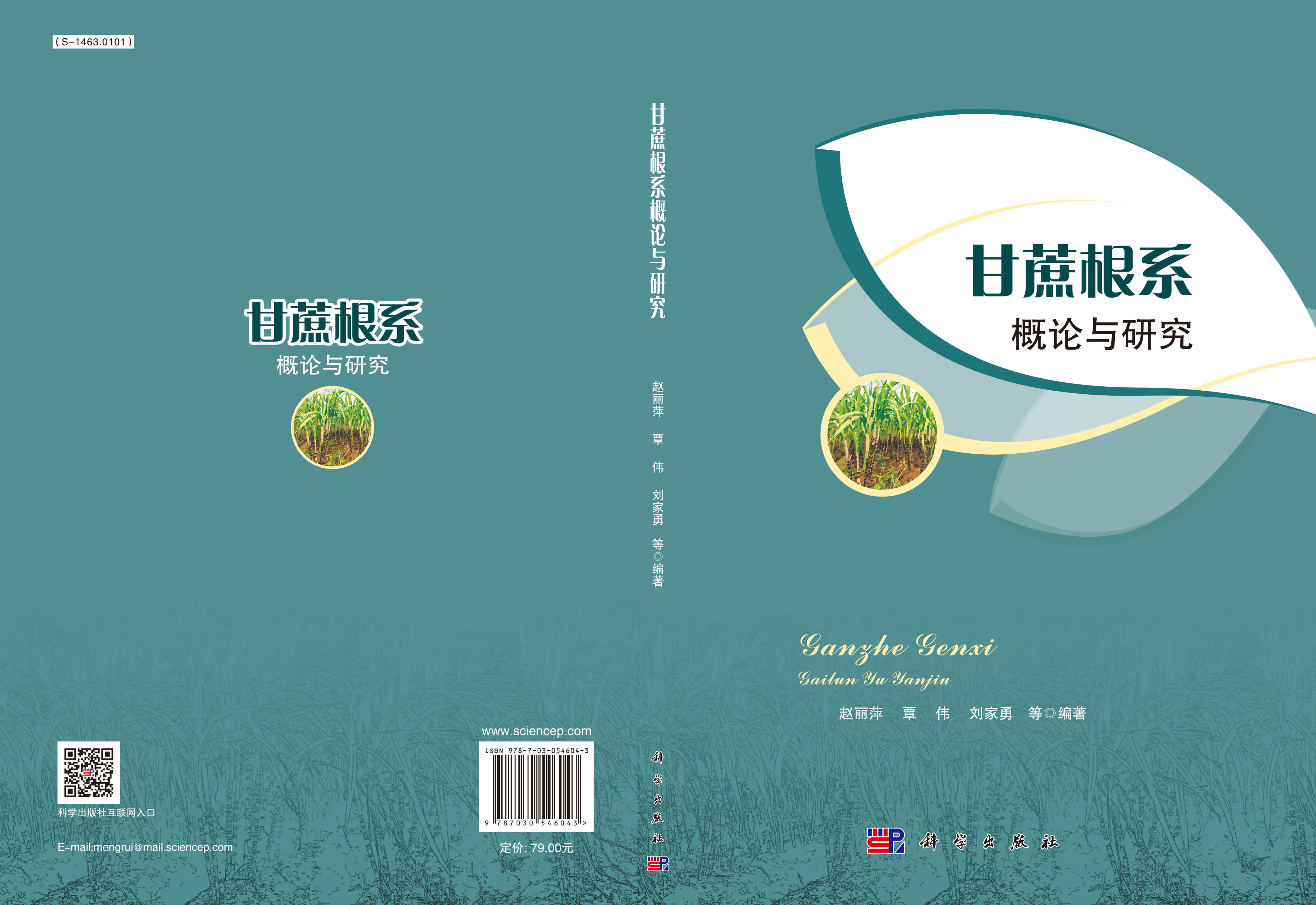甘蔗根系概论与研究