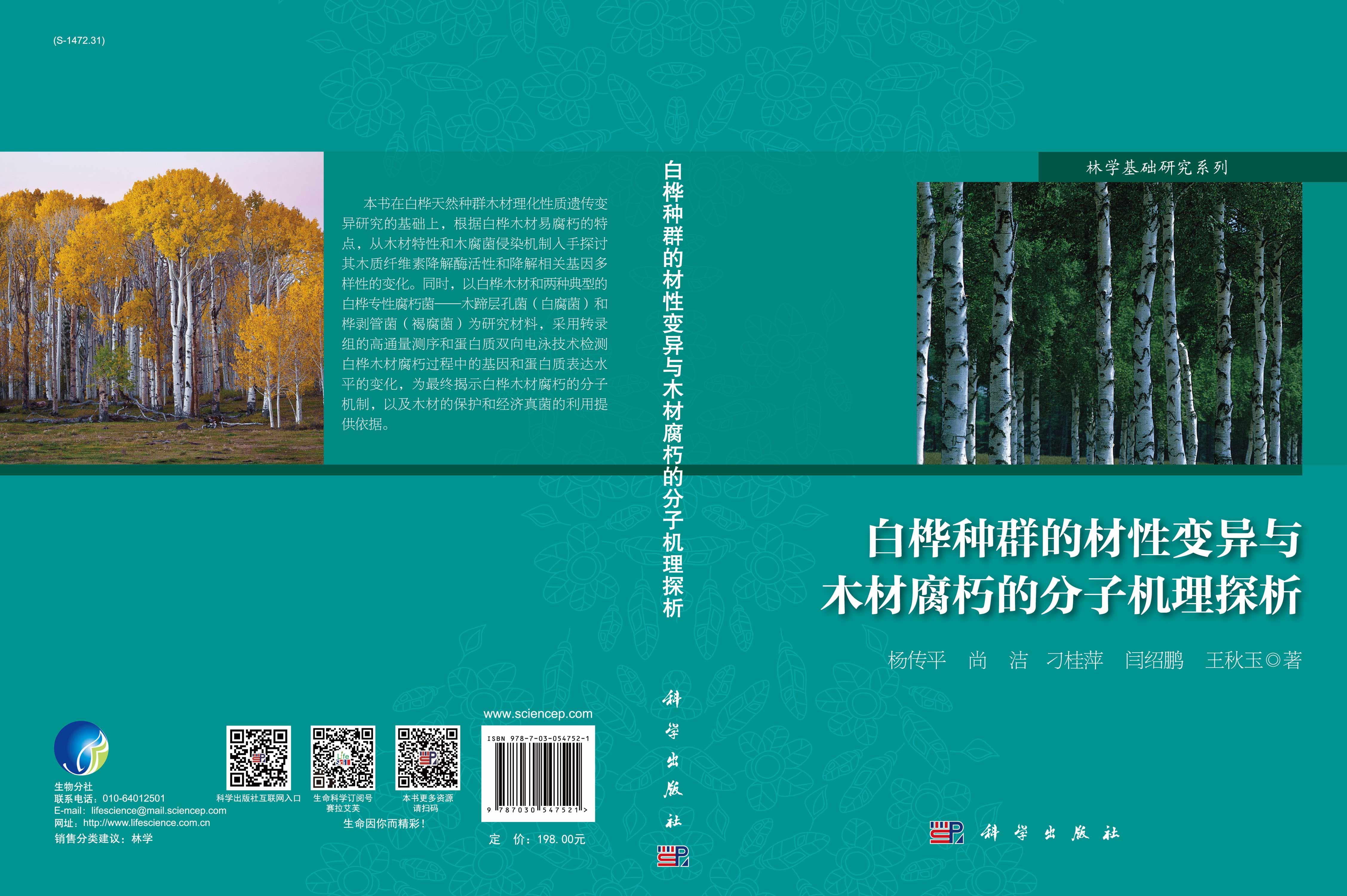 白桦种群的材性变异与木材腐朽分子机理探析