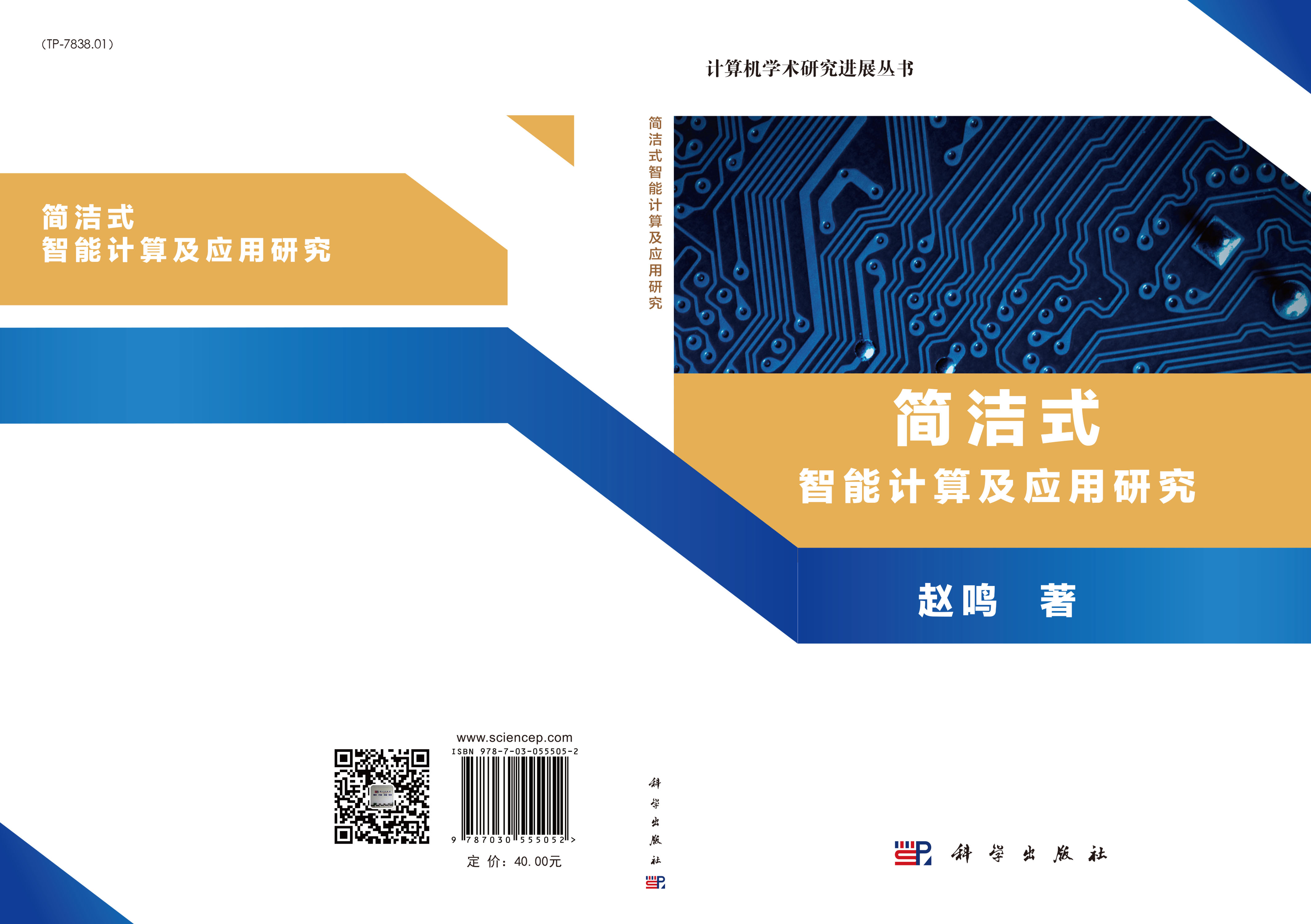 简洁式智能计算及应用研究
