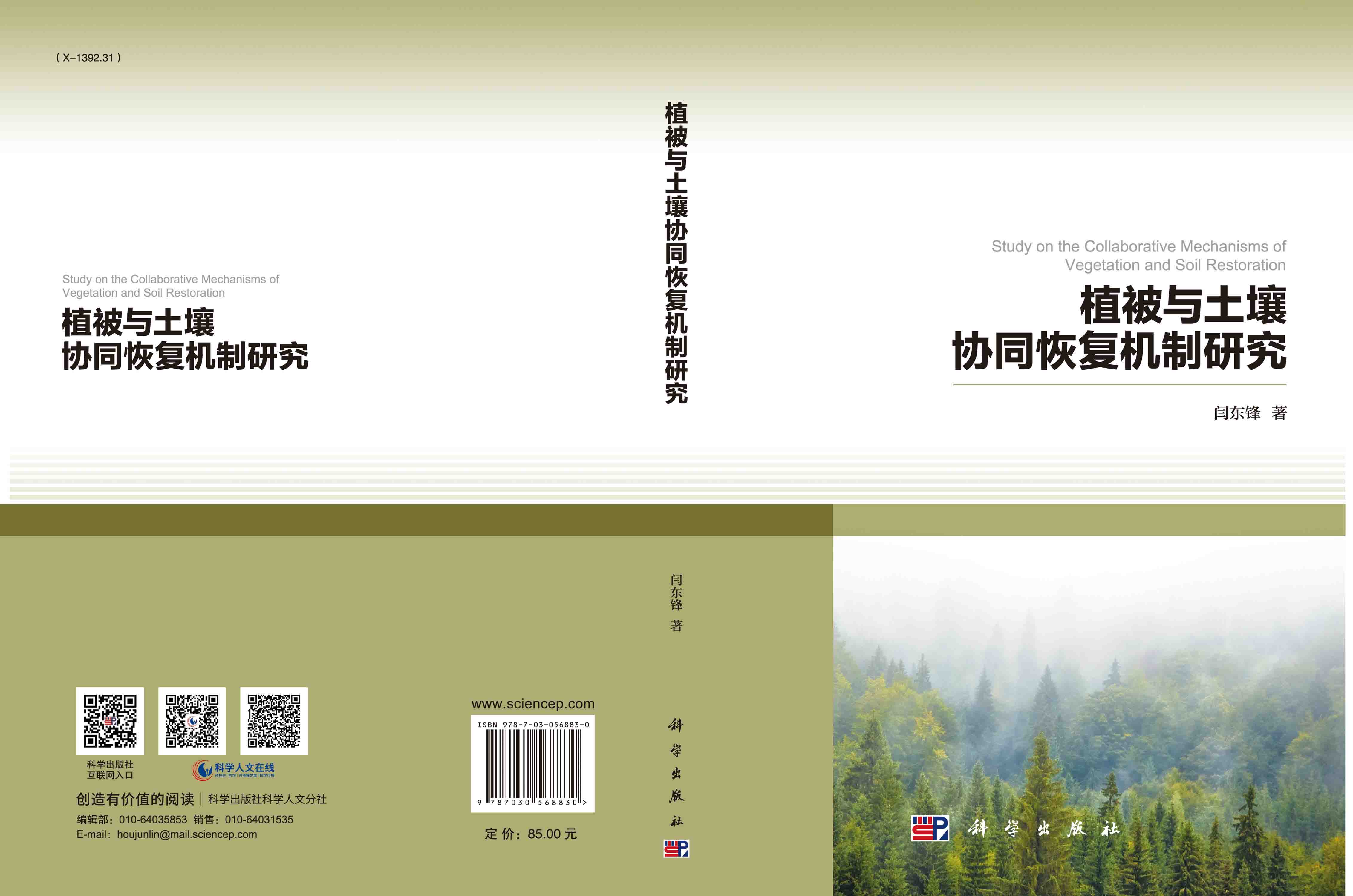 植被与土壤协同恢复机制研究