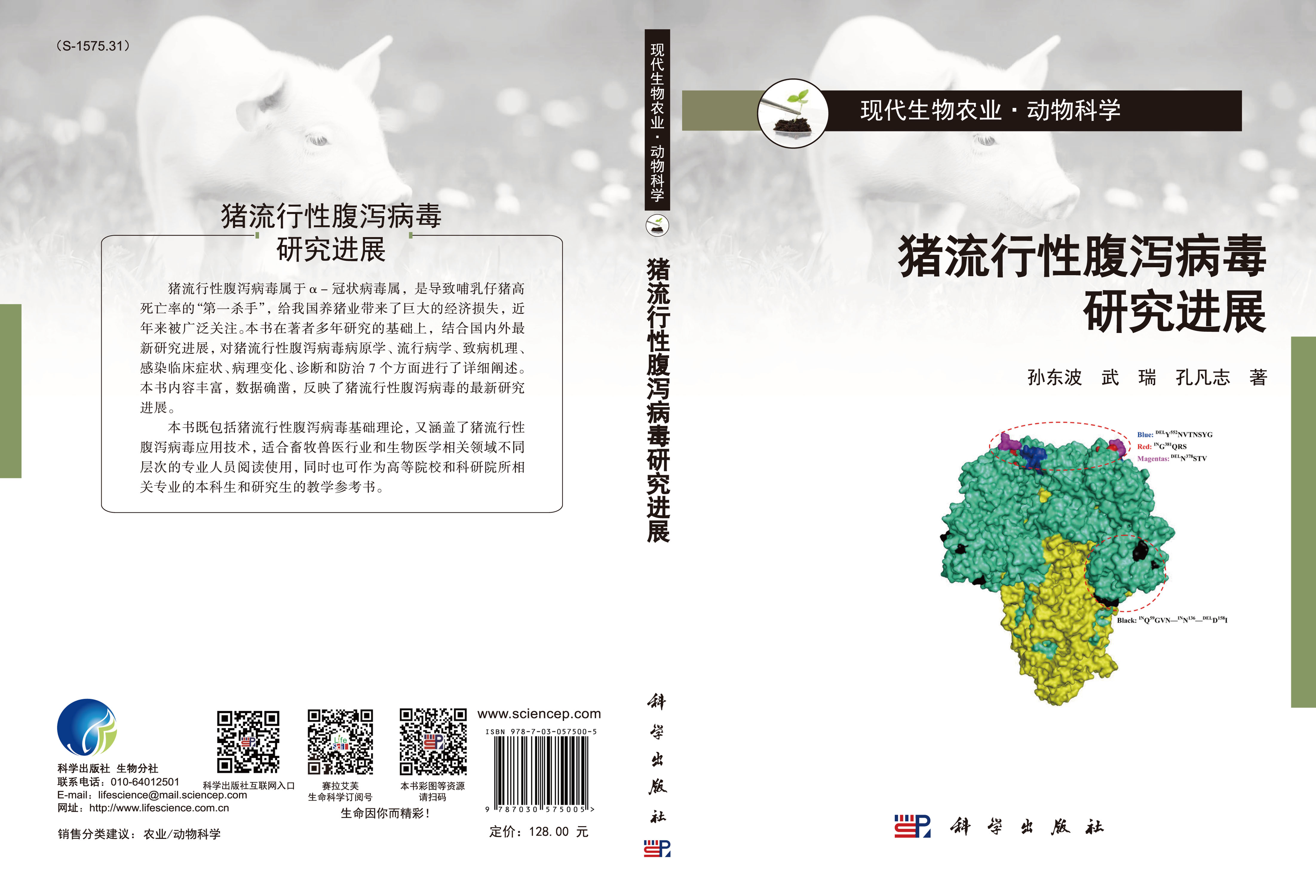 猪流行性腹泻病毒研究进展