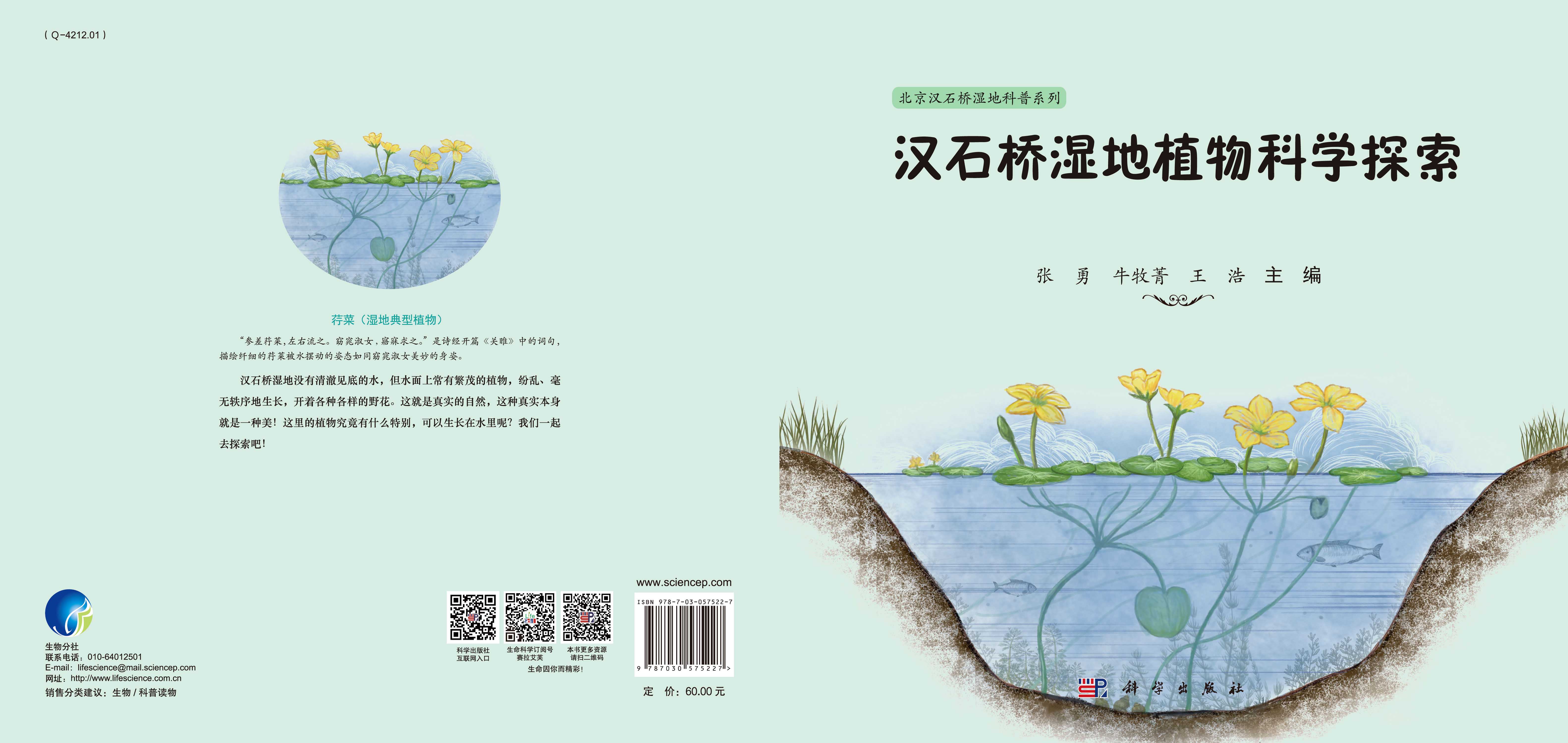汉石桥湿地植物科学探索