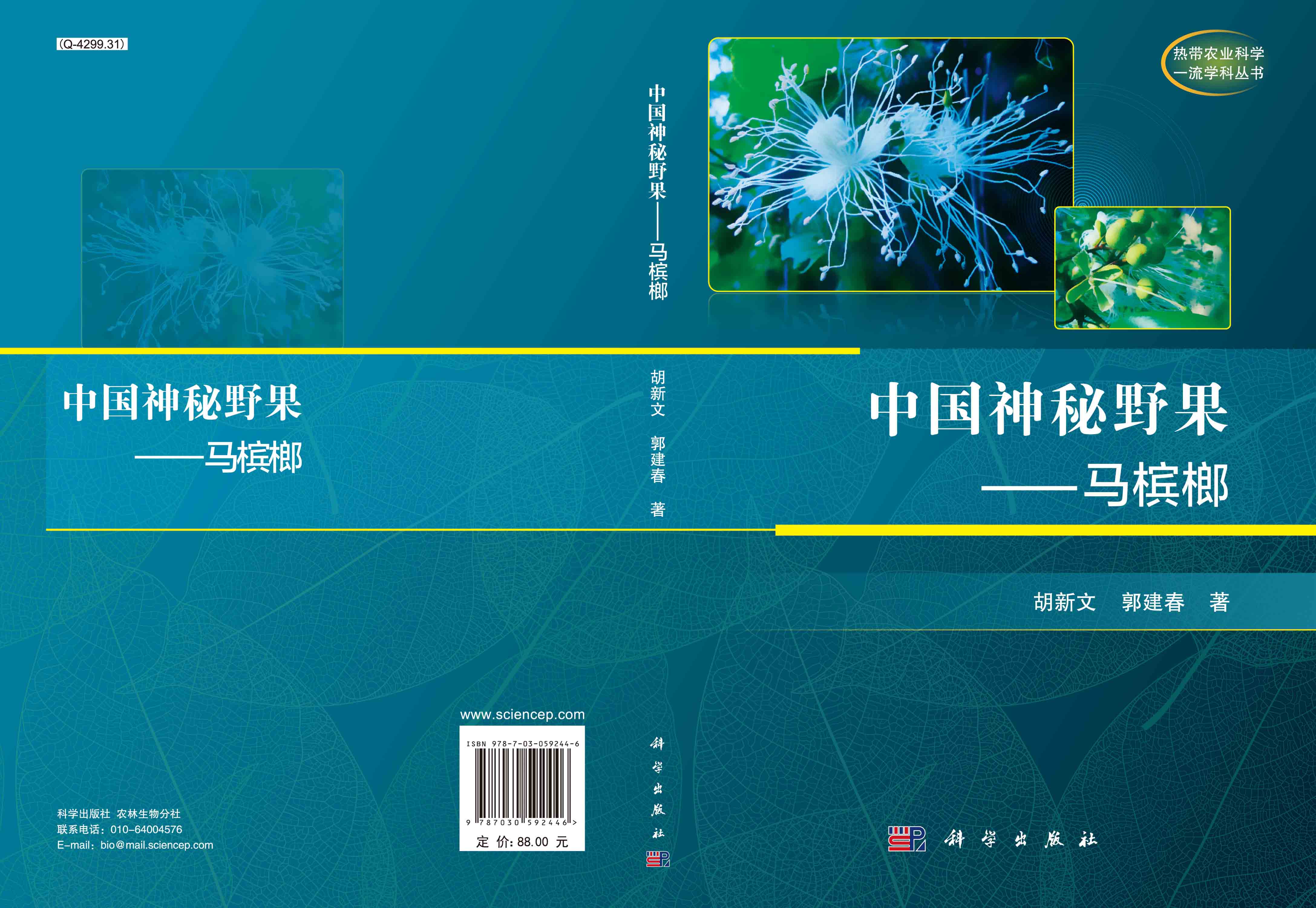 中国神秘野果——马槟榔
