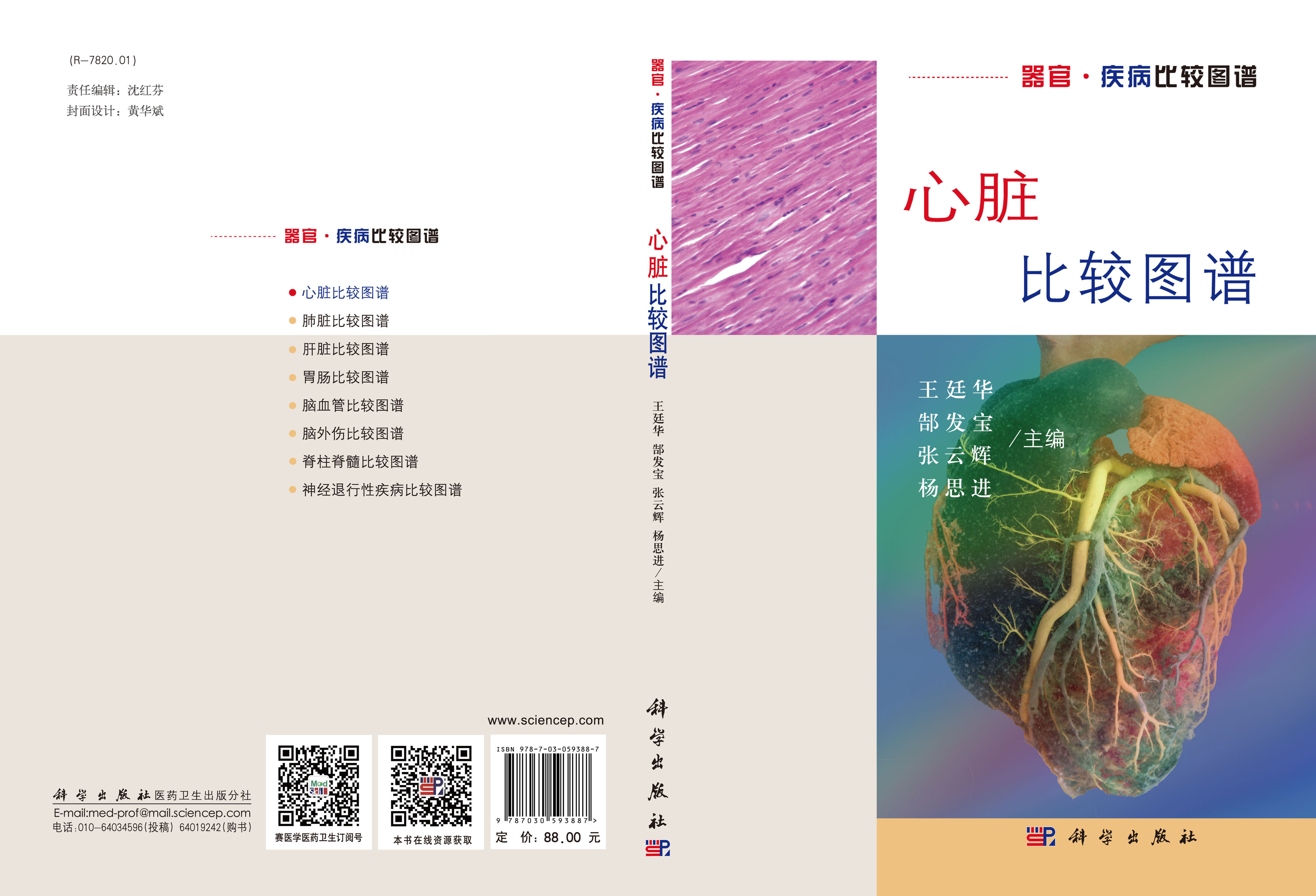 心脏比较图谱