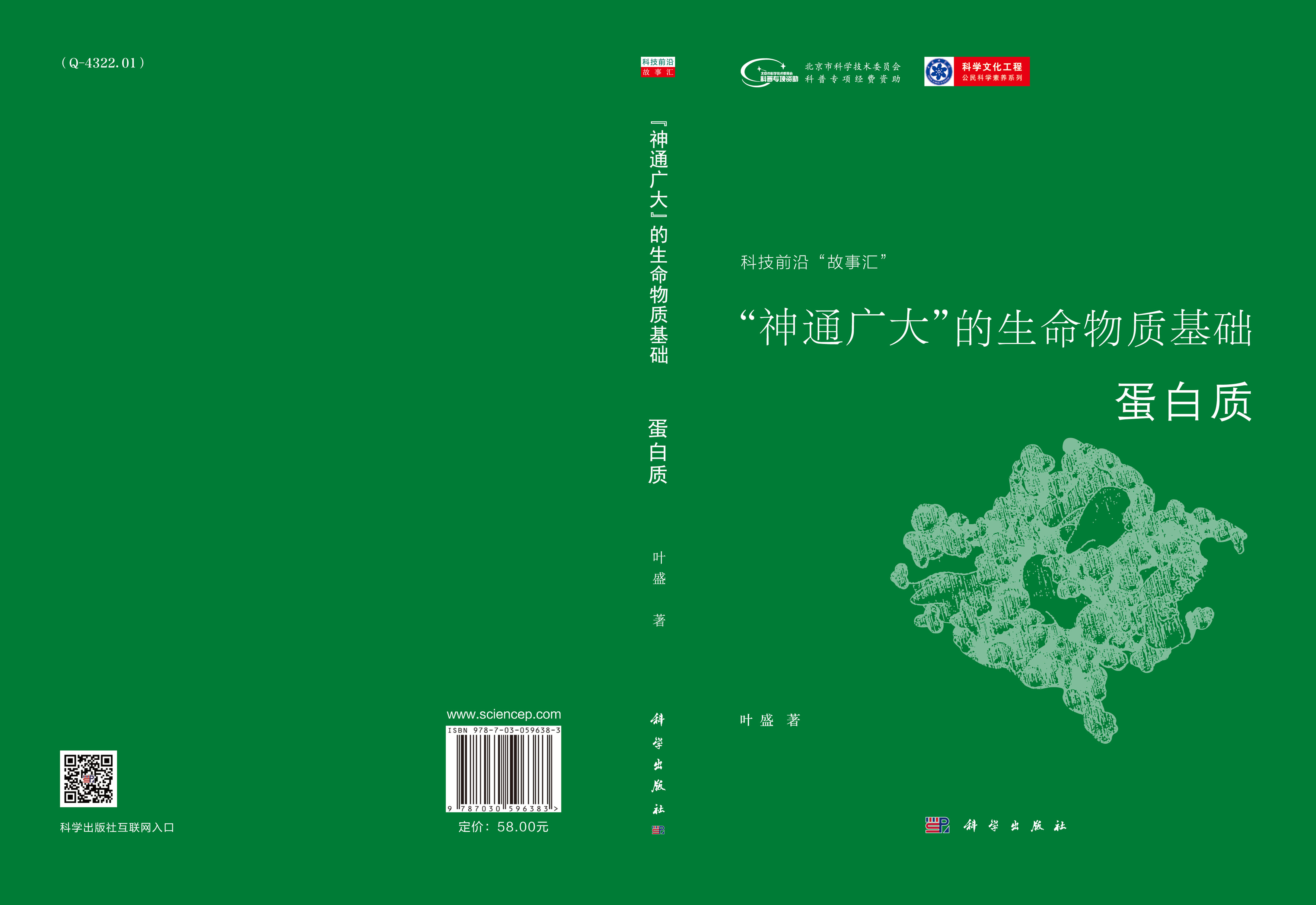 “神通广大”的生命物质基础：蛋白质