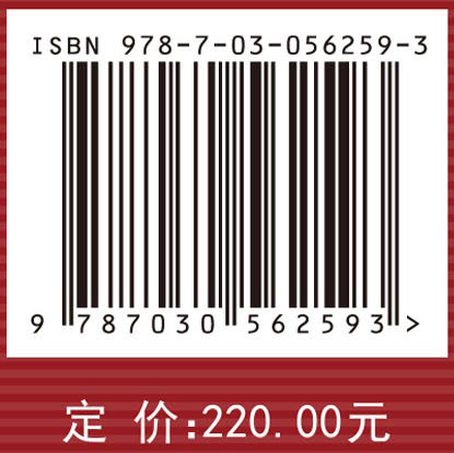 重大工程组织模式与组织行为