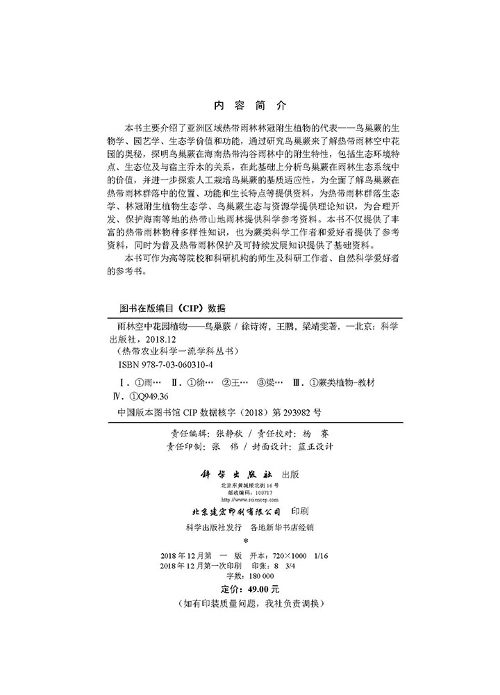 雨林空中花园植物——鸟巢蕨