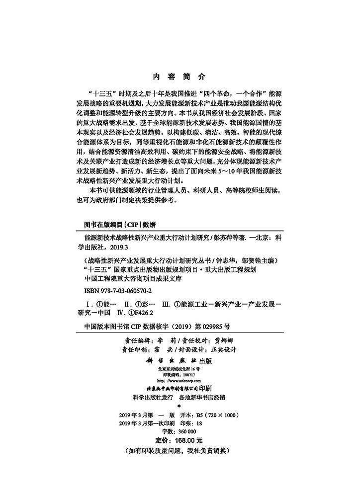 能源新技术战略性新兴产业重大行动计划研究