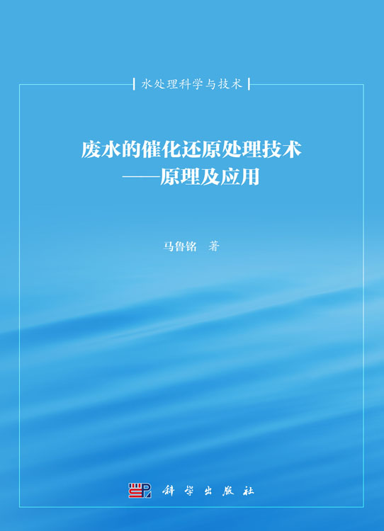 废水的催化还原处理技术——原理及其应用
