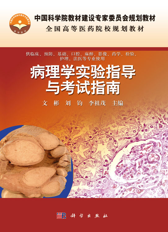 病理学实验指导与考试指南