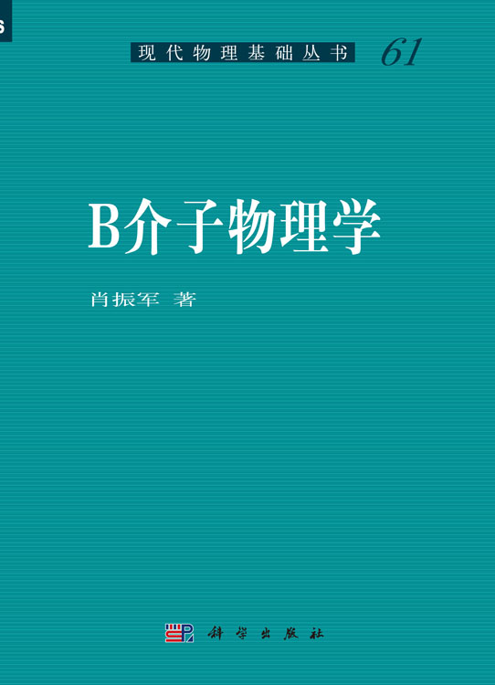 B介子物理学