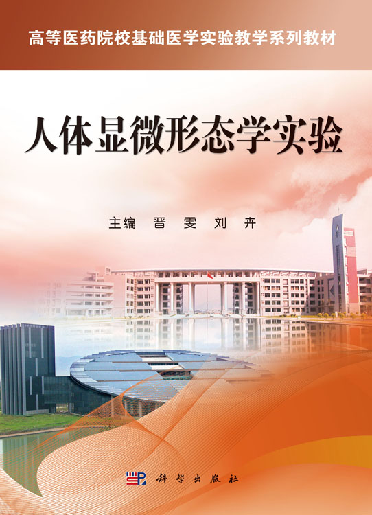 人体显微形态学实验
