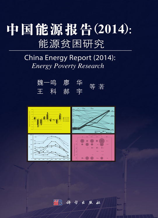 中国能源报告（2014）：能源贫困研究