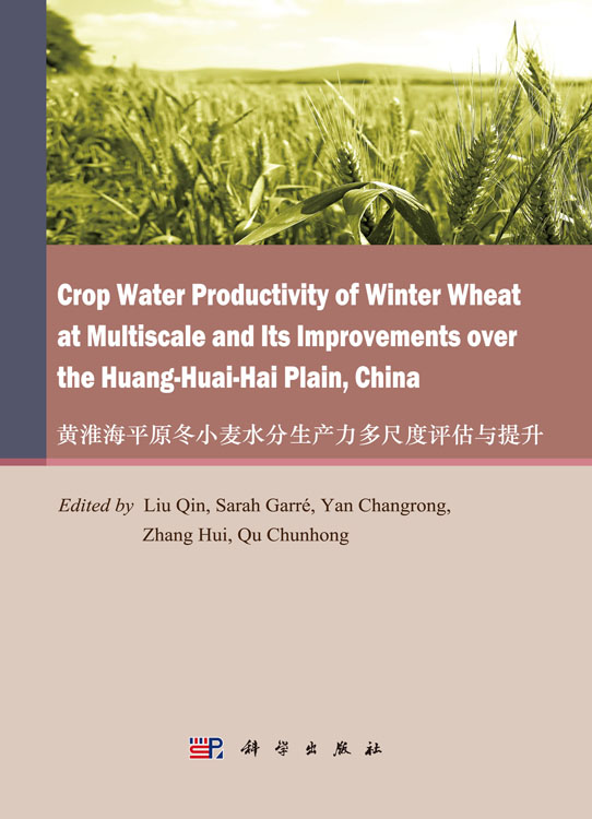 Crop Water Productivity of Winter Wheat at Multiscale and Its Improvements over the Huang-Huai-Hai Plain, China