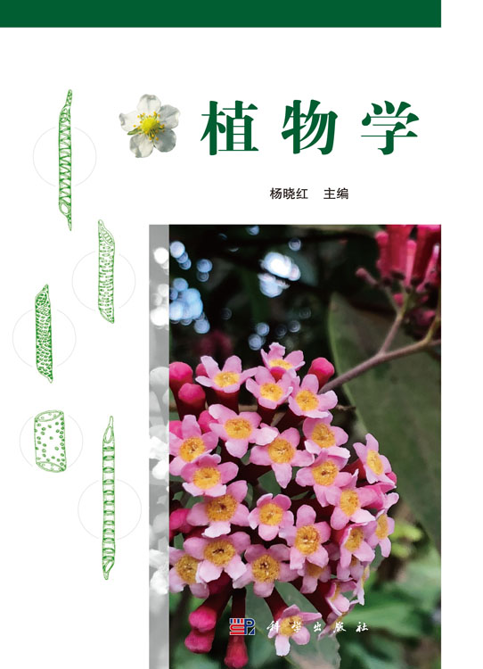 植物学