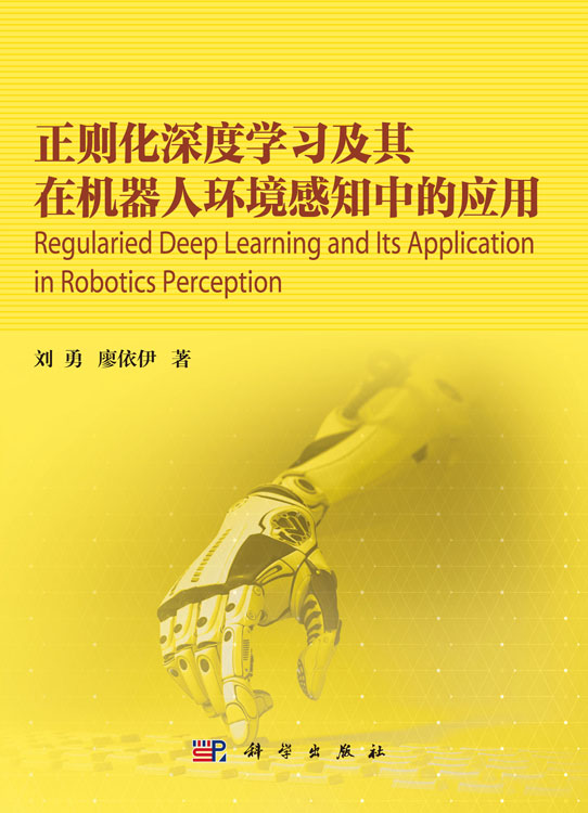 正则化深度学习及其在机器人环境感知中的应用