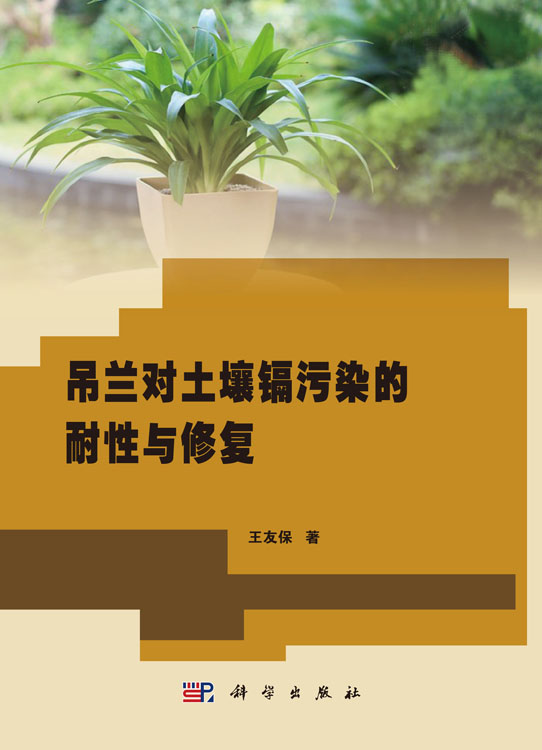 吊兰对土壤镉污染的耐性与修复