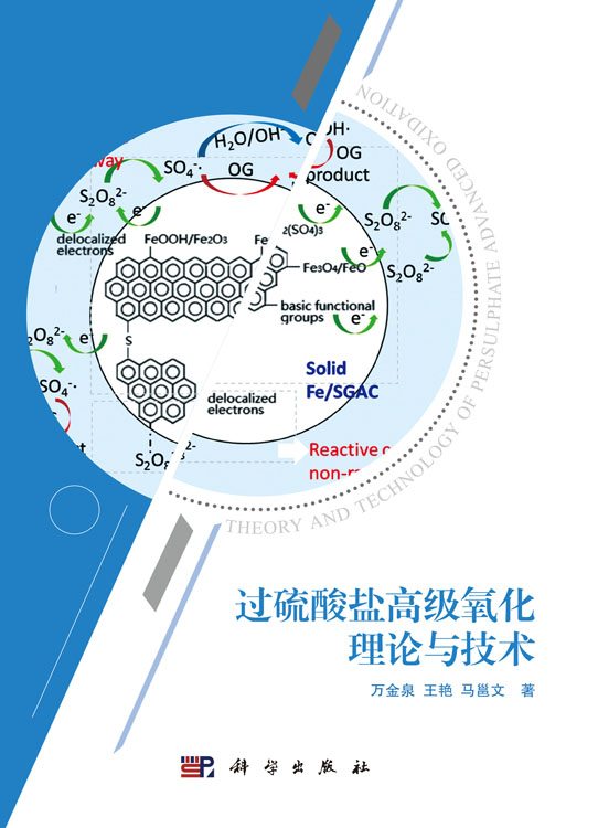 过硫酸盐高级氧化理论与技术
