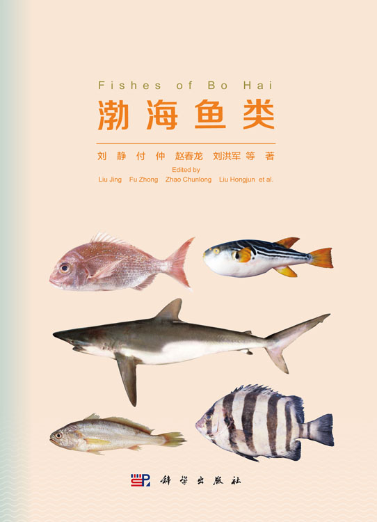 渤海鱼类