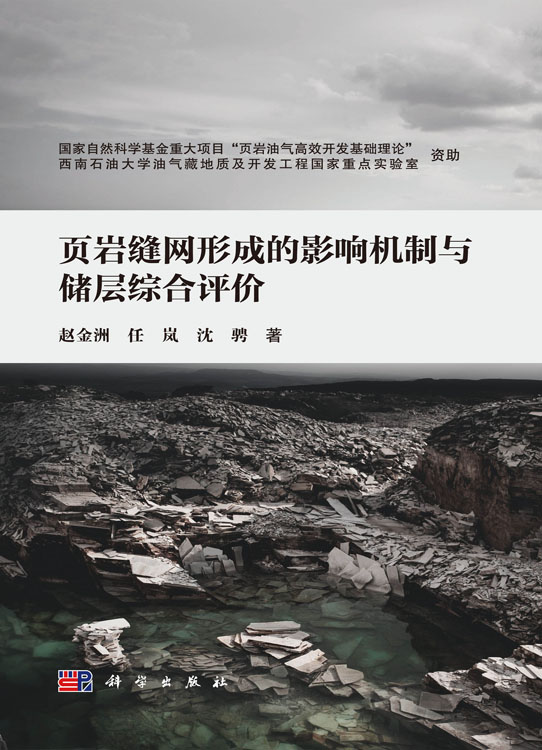 页岩缝网形成的影响机制与储层综合评价