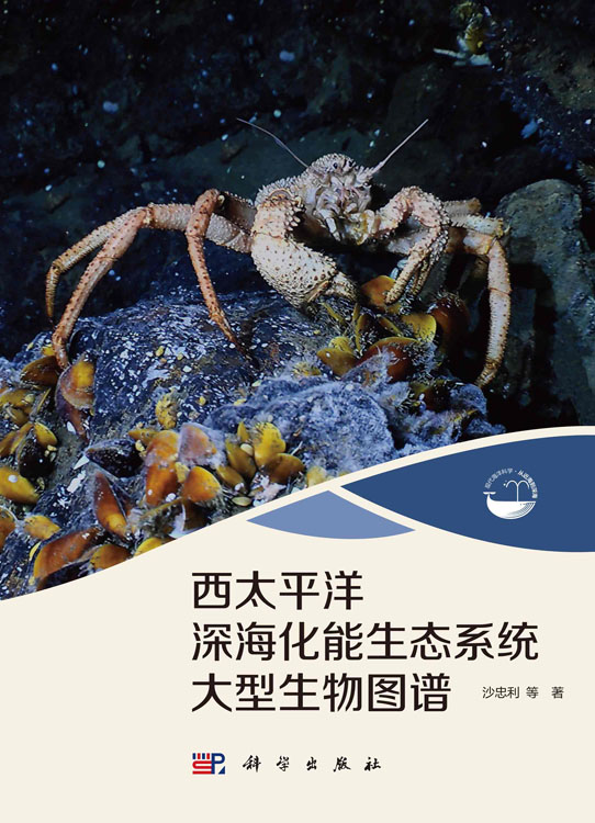 西太平洋深海化能生态系统大型生物图谱