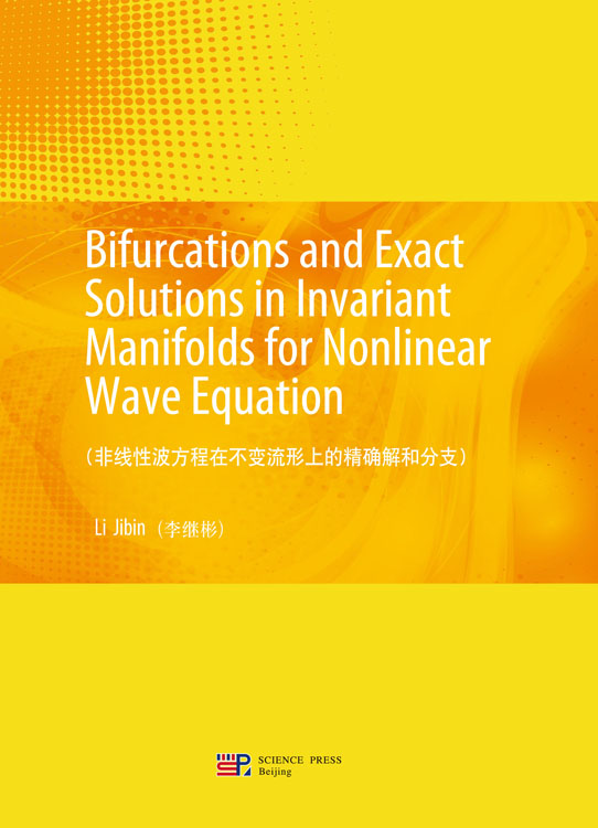 非线性波方程在不变流形上的精确解和分支（英文）