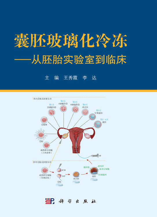 囊胚玻璃化冷冻——从胚胎实验室到临床