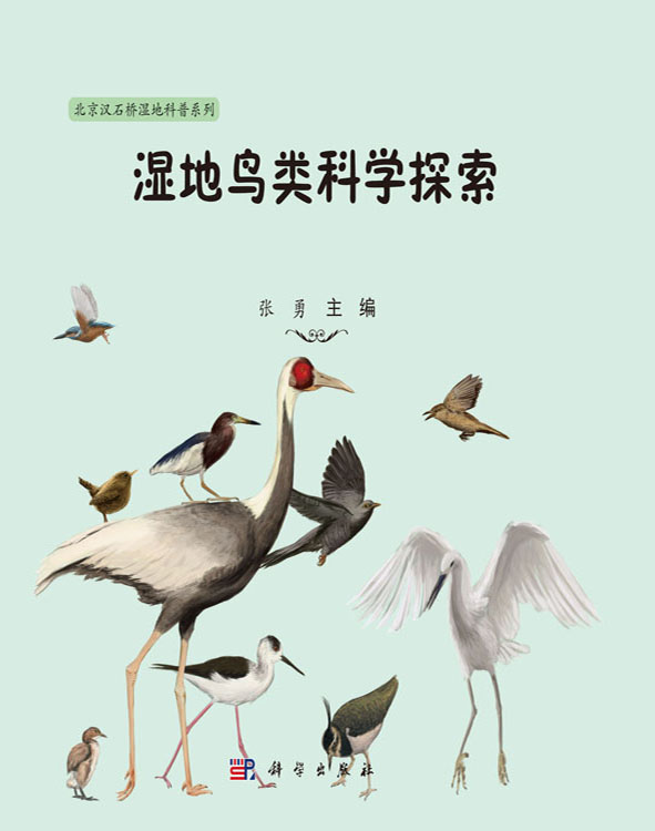 湿地鸟类科学探索